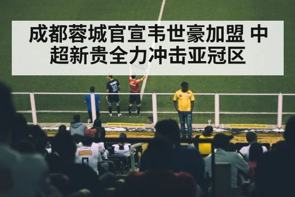 成都蓉城官宣韦世豪加盟 中超新贵全力冲击亚冠区